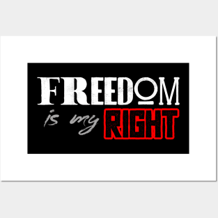 Freedom is my right Posters and Art